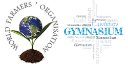WFO Gymnasium Community